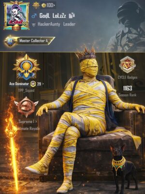 ACC PUBG RANK CAO